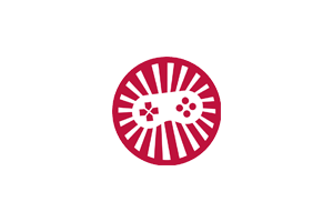 RetroAssembly – 网页版的个人复古游戏柜