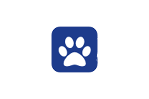 ThetypingCAT英语打字练习工具,提高打字速度和准确性