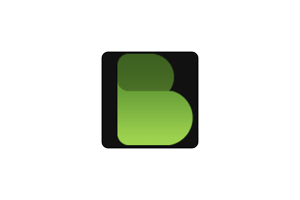 bflix 免费在线看影视剧,外国网站,支持中文字幕