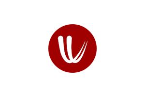 Windy：提供全球风力地图和天气预报可视化的网站