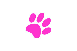 Coding Cat:喜欢听 Lo-fi 音乐的「代码猫」,专为编程爱好者设计的 Lo-fi 音乐网站