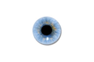 Visuwords：一个在线交互式英语词典，快速生成单词关系图谱