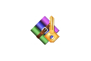 Accent RAR Password Recovery Professional 3.61 Build 3683:压缩文件解密工具