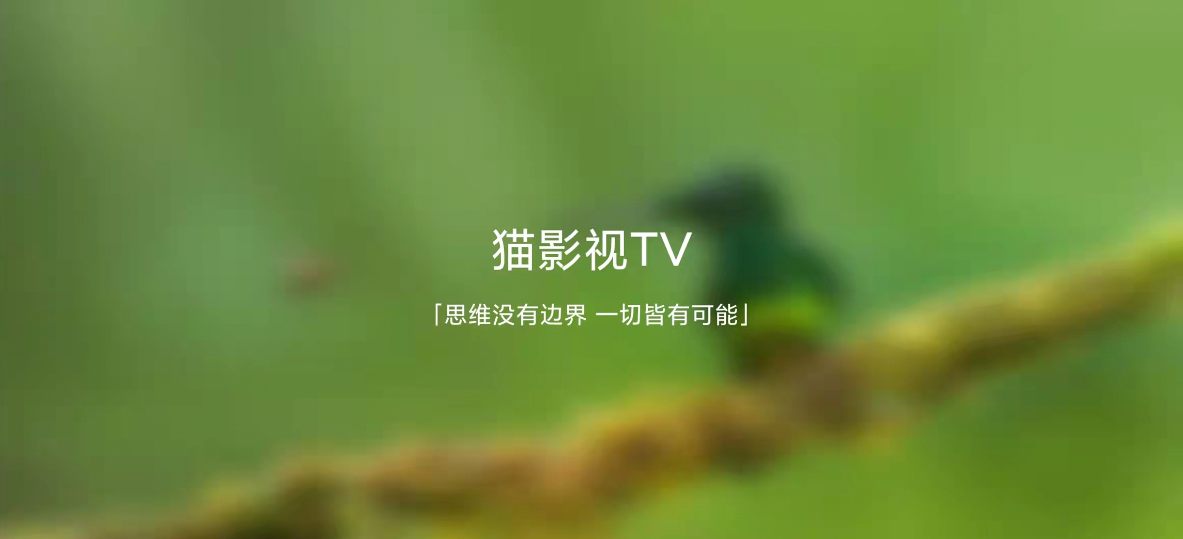 image-20211206125934400